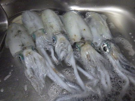 今日もティップラン